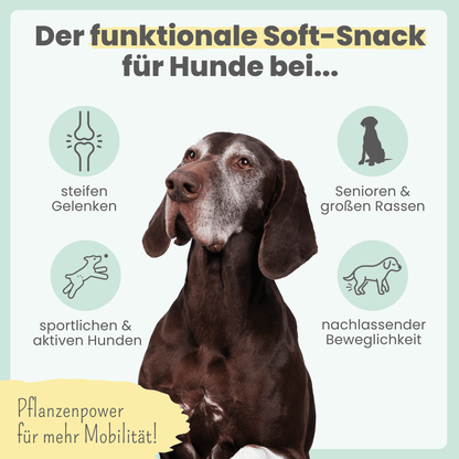 Gelenk-Komplex für Hunde (200g)