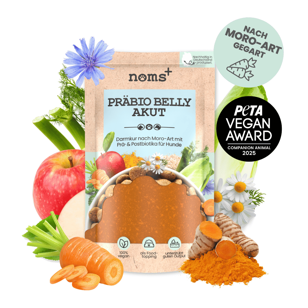 Präbio Belly Akut: pflanzenbasierte Darmkur für Hunde nach Moro-Art (200g)