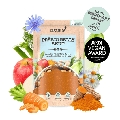 Präbio Belly Akut: pflanzenbasierte Darmkur für Hunde nach Moro-Art (200g)