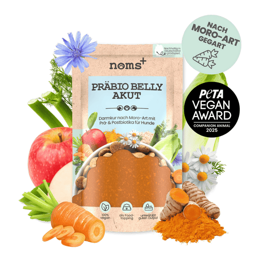 Präbio Belly Akut: pflanzenbasierte Darmkur für Hunde nach Moro-Art (200g)