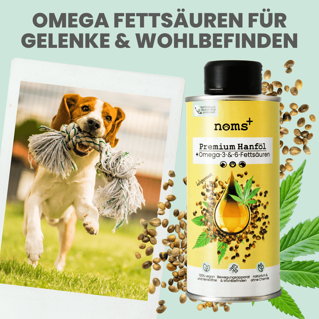 Kaltgepresstes Hanföl (250ml)