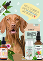 50x Pawtner-Flyer für deinen Rabattcode