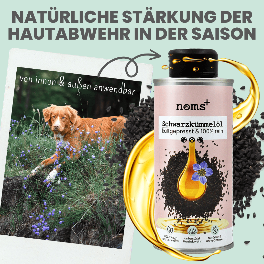 Premium Schwarzkümmelöl natürlich kaltgepresst für Hunde (MHD 9/2025)