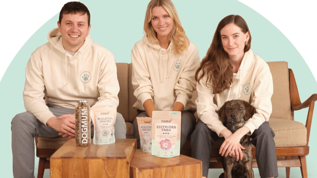 3% CBD Tropfen für Katzen und kleine Hunde 10ml