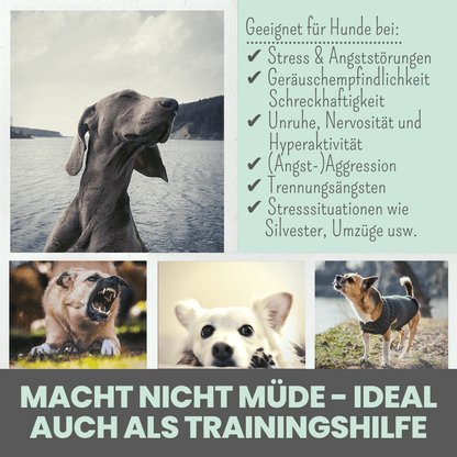 Wohlfühlsnacks für Hunde bei Stress, Angst, Unruhe & Hyperaktivität