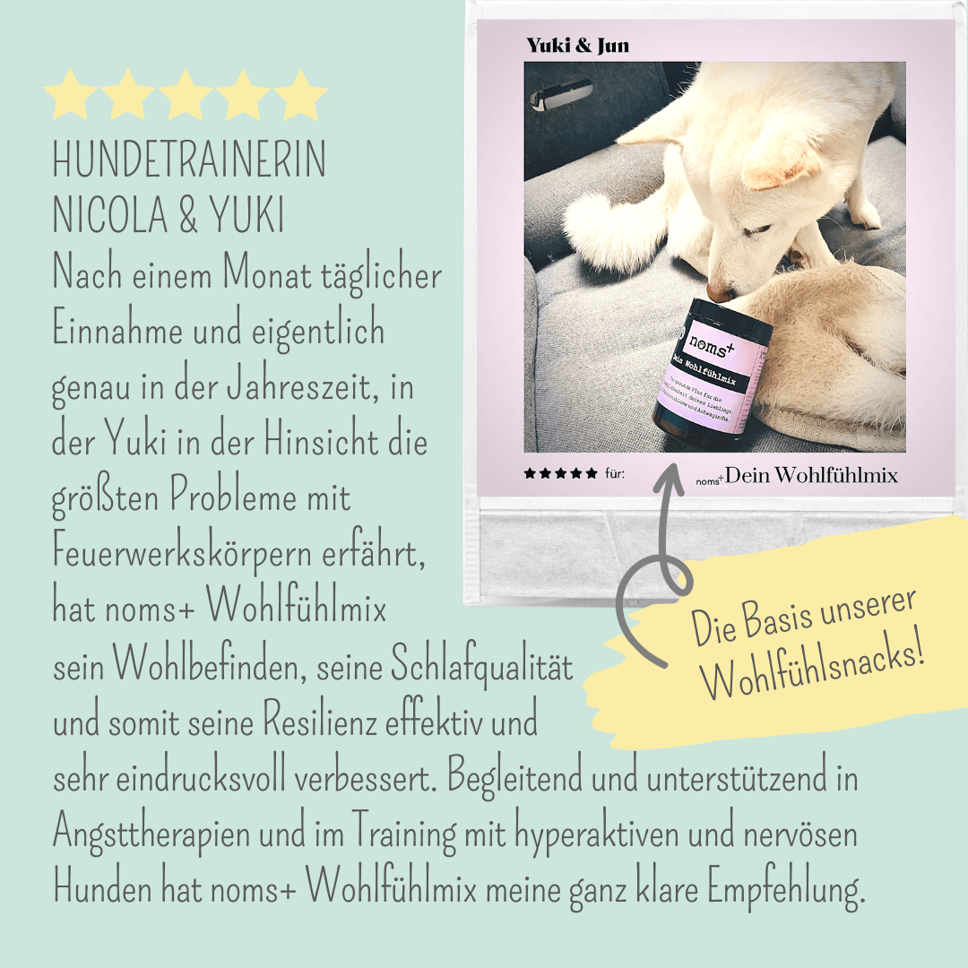 Wohlfühlsnacks für Hunde bei Stress, Angst, Unruhe & Hyperaktivität