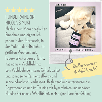 Wohlfühlsnacks für Hunde bei Stress, Angst, Unruhe & Hyperaktivität