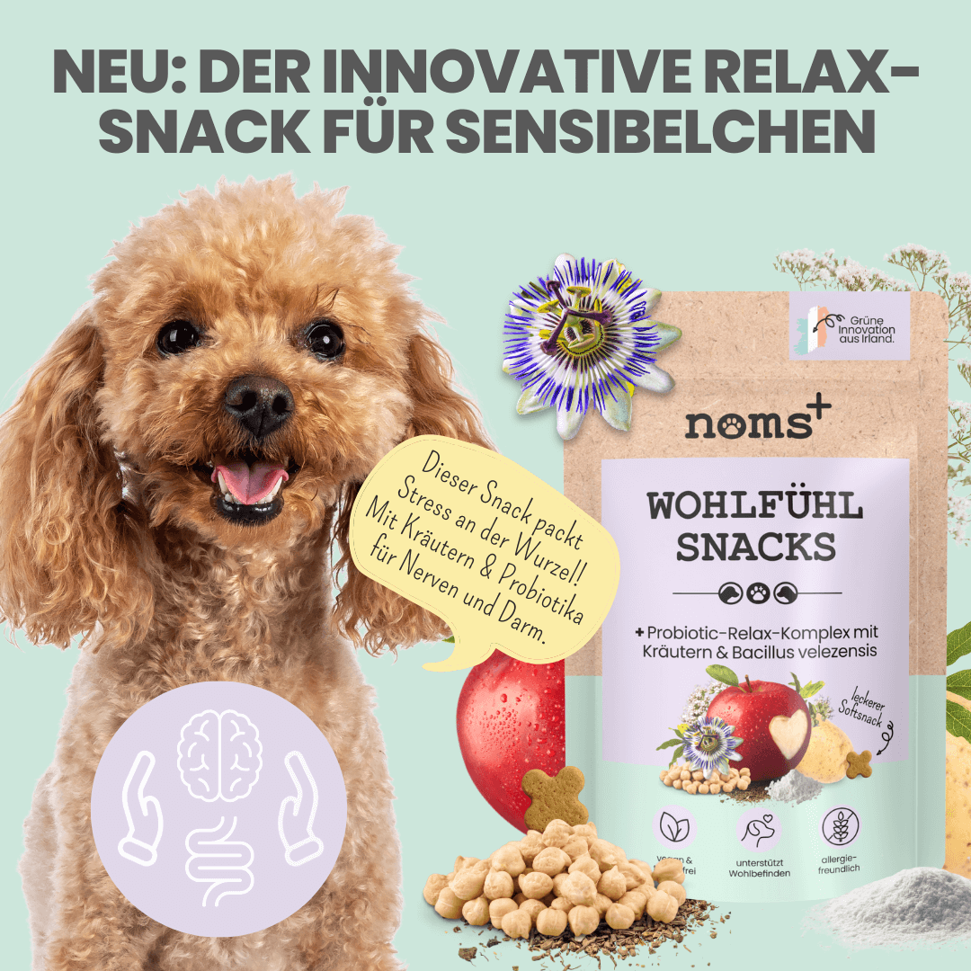 NEU: Wohlfühlsnacks für Hunde bei Stress, Angst, Unruhe & Hyperaktivität (200g)
