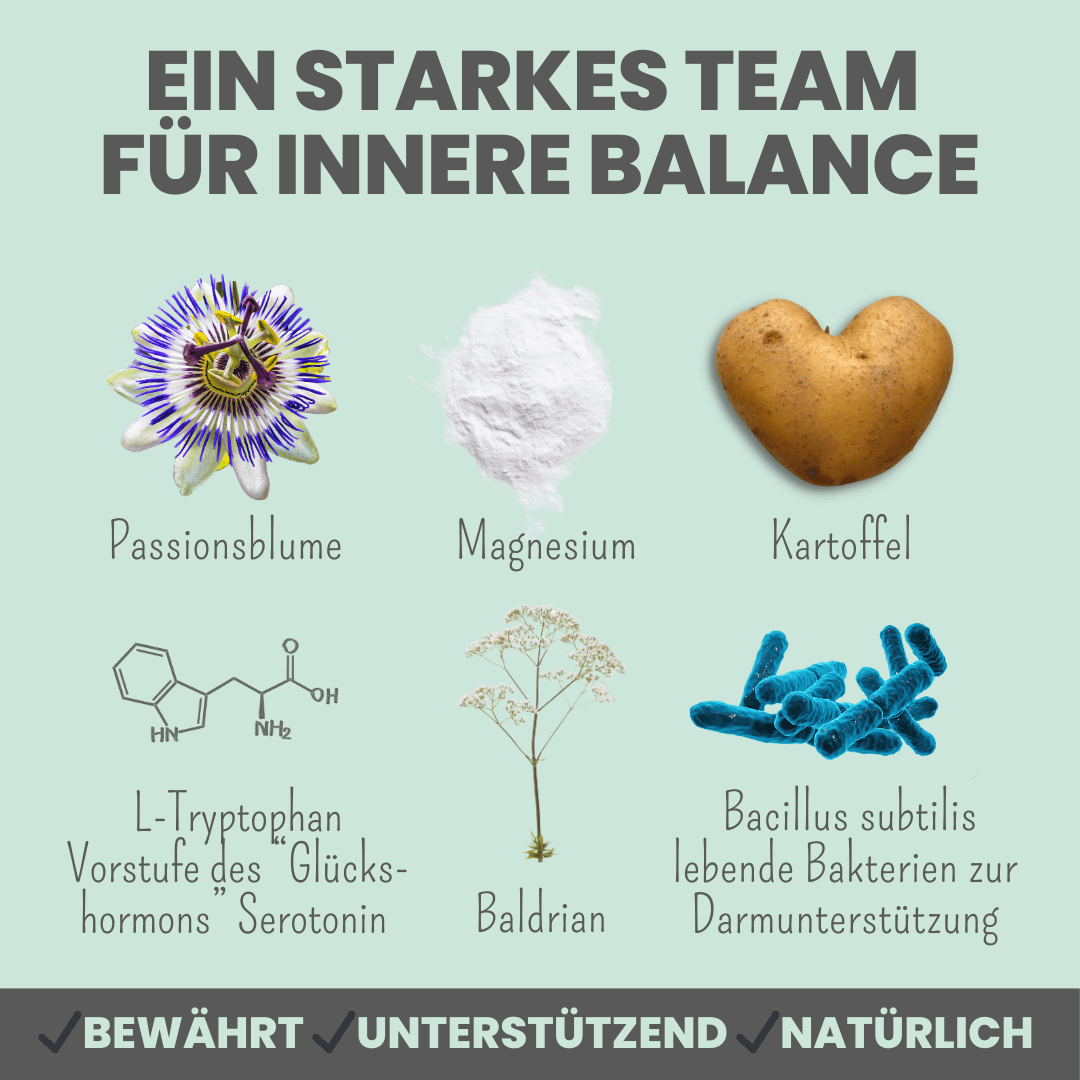 NEU: Wohlfühlsnacks für Hunde bei Stress, Angst, Unruhe & Hyperaktivität (200g)
