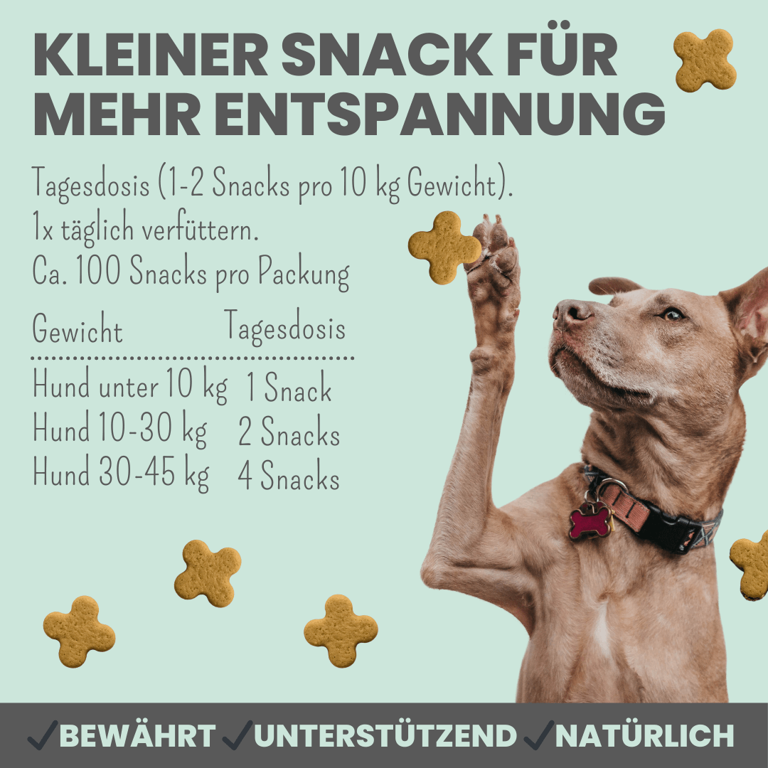 NEU: Wohlfühlsnacks für Hunde bei Stress, Angst, Unruhe & Hyperaktivität (200g)