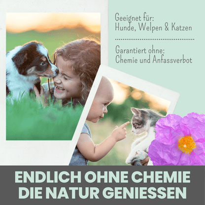 Zistrosen Tabs - 100% natürliches Zistrosen-Leckerli für Wald- & Wiesenspaziergänge