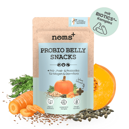 Probio Belly Snacks für Hunde mit BIOTICS³-Komplex: Präbiotika, Probiotika & Postbiotika