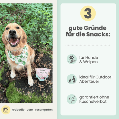 Z-Komplex für Hunde: Leckerer Soft-Snack für Wald & Wiese (200g)