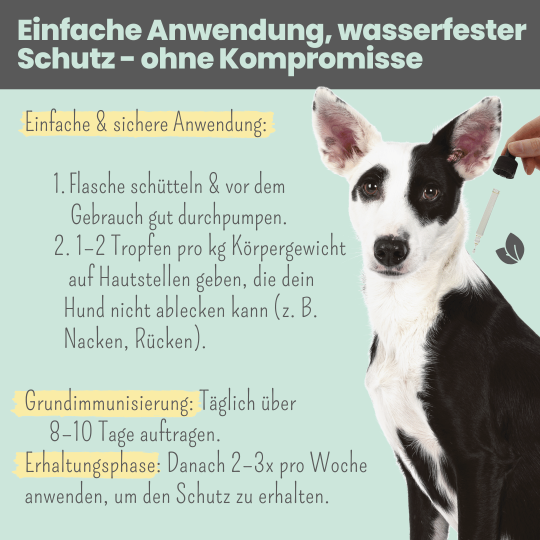 Wasserfestes Zpot-on für Hunde gegen Zecken, Flöhe, Milben & Mücken [Jahresvorrat]