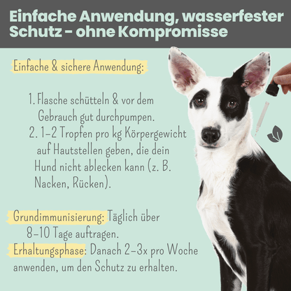 Wasserfestes Zpot-on für Hunde gegen Zecken, Flöhe, Milben & Mücken [Jahresvorrat]