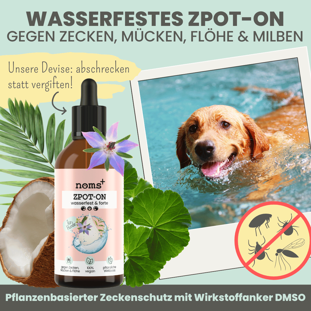 Wasserfestes Zpot-on für Hunde gegen Zecken, Flöhe, Milben & Mücken [Jahresvorrat]