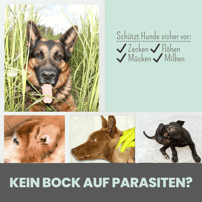 Zpot-on für Hunde gegen Zecken, Flöhe, Milben & Mücken [Jahresvorrat]