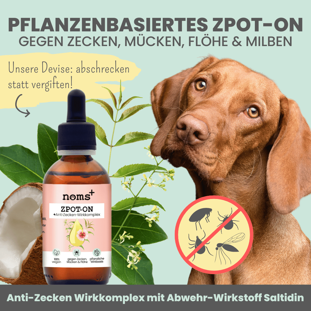 Zpot-on für Hunde gegen Zecken, Flöhe, Milben & Mücken [Jahresvorrat]