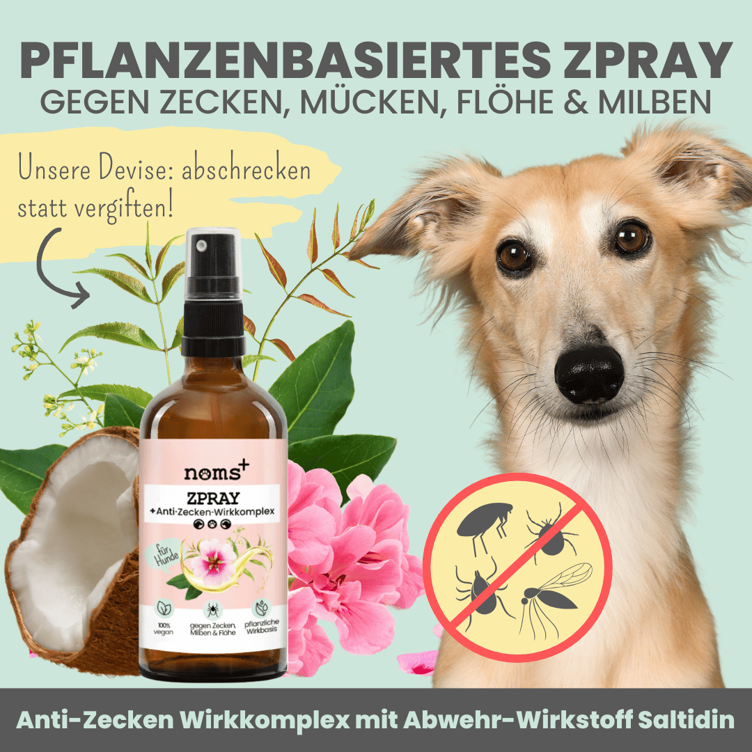 Zpray für Hunde gegen Zecken, Flöhe, Milben & Mücken [Jahresvorrat]