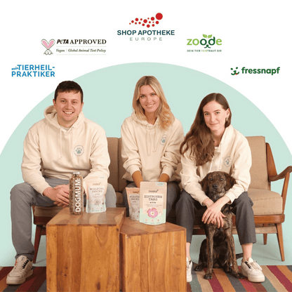Hunde Smoothie-Bowl: Der fruchtig frische Elektrolyt-Booster