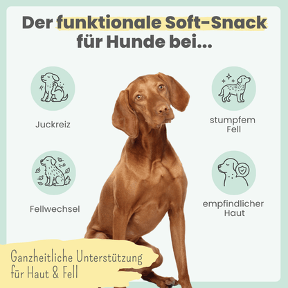 Haut & Fell Komplex für Hunde (200g)